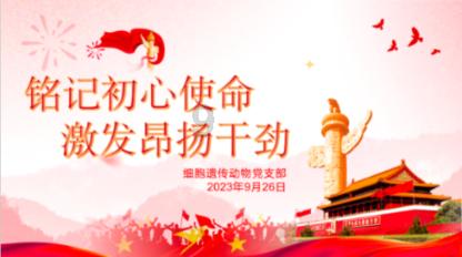 寻找遗失的摩托车